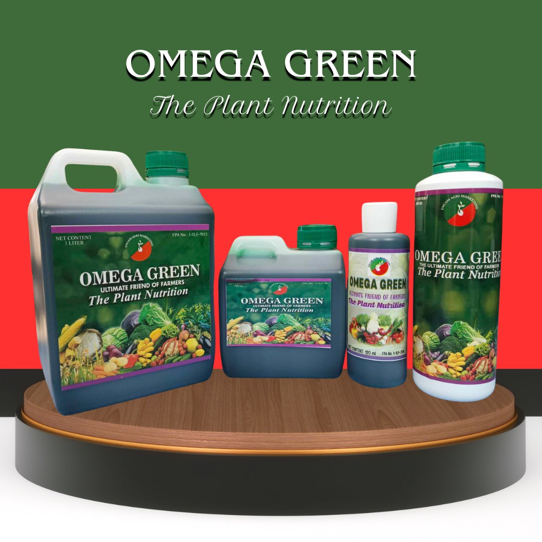 Organic Fertilizer